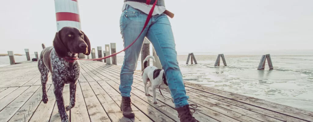 5 Tips To Get More Physical Activity In Your Routine