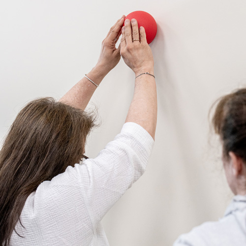 National Physical Therapy ball exercise